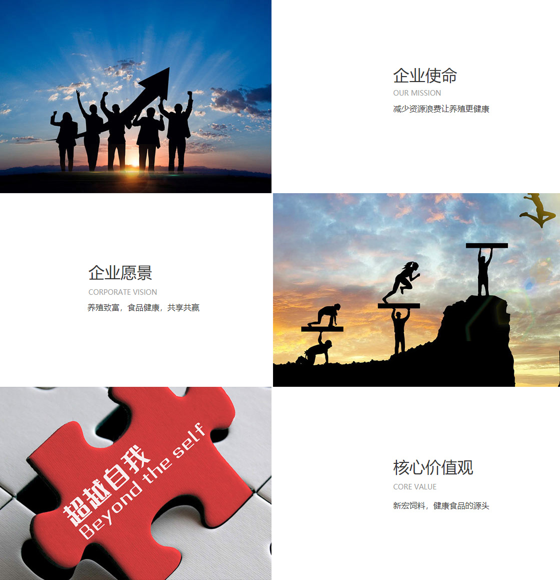 易游体育app下载安装最新版(图1)